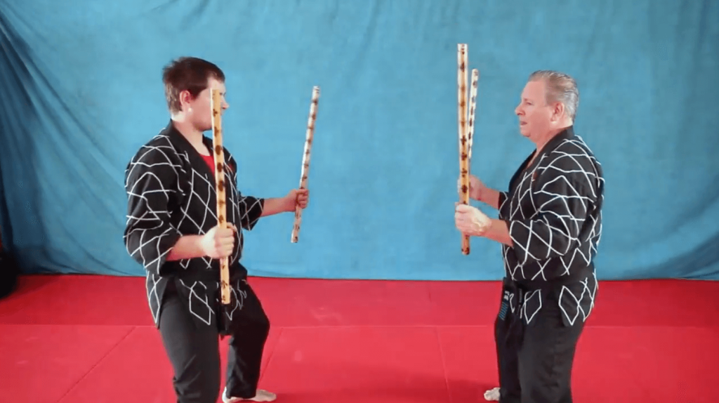 double-kali-stick-1-image